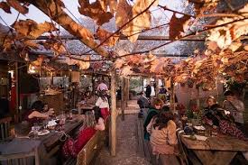 Experiência de vinhedo na serra