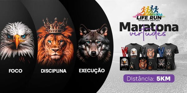 Capa do circuito