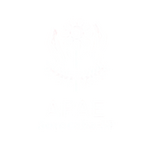 Logo 20