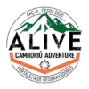Logo 5